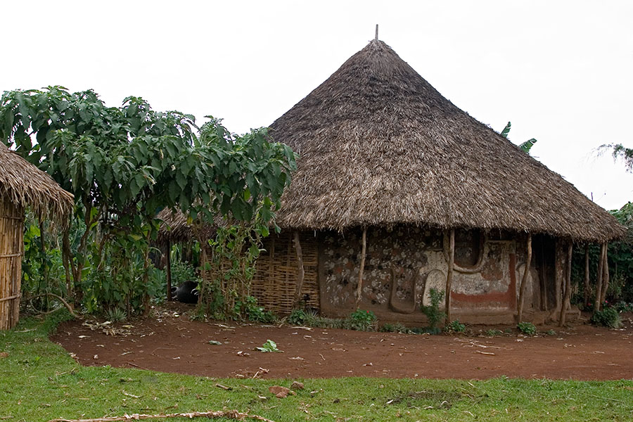 62   House in Kafa region   South west Ethiopia